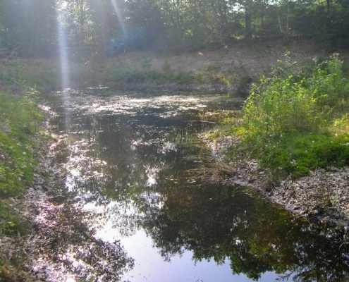 Wandeling door het Pijnenburg bos en Monnikenberg