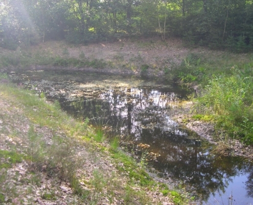 Wandeling door het Pijnenburg bos en Monnikenberg