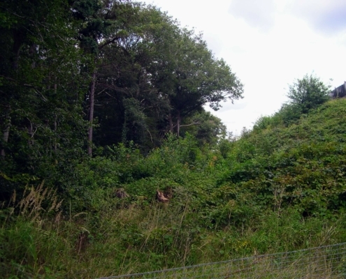 Wandeling door het Pijnenburg bos en Monnikenberg