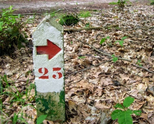Smithuyserbos, De Zuid, Maartensdijkse Bos en Hilversums Wasmeer
