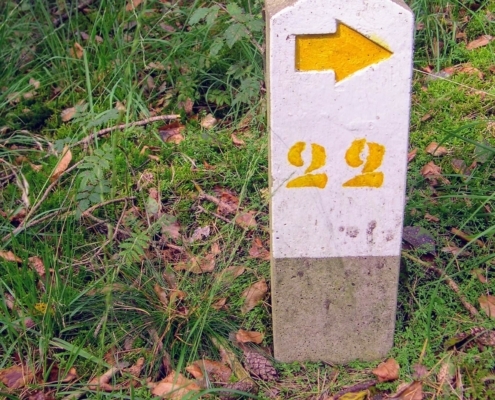 Smithuyserbos, De Zuid, Maartensdijkse Bos en Hilversums Wasmeer