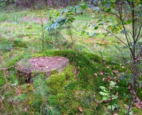Smithuyserbos, De Zuid, Maartensdijkse Bos en Hilversums Wasmeer