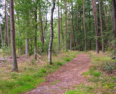 Smithuyserbos, De Zuid, Maartensdijkse Bos en Hilversums Wasmeer