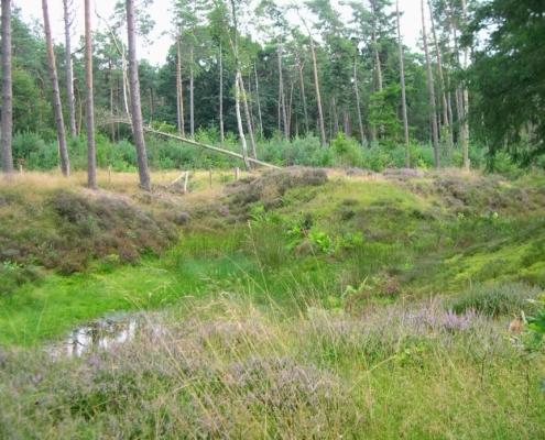 Smithuyserbos, De Zuid, Maartensdijkse Bos en Hilversums Wasmeer