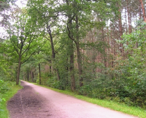 Smithuyserbos, De Zuid, Maartensdijkse Bos en Hilversums Wasmeer