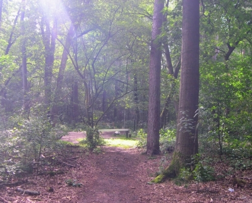 Smithuyserbos, De Zuid, Maartensdijkse Bos en Hilversums Wasmeer