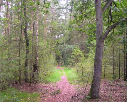 Smithuyserbos, De Zuid, Maartensdijkse Bos en Hilversums Wasmeer