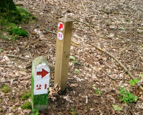Smithuyserbos, De Zuid, Maartensdijkse Bos en Hilversums Wasmeer