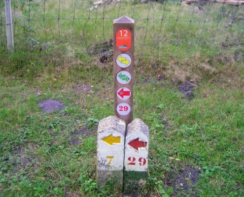 Smithuyserbos, De Zuid, Maartensdijkse Bos en Hilversums Wasmeer