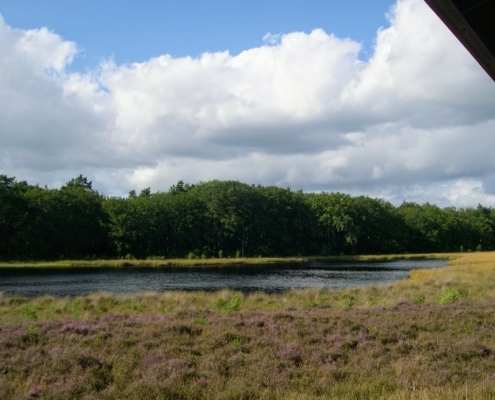 Smithuyserbos, De Zuid, Maartensdijkse Bos en Hilversums Wasmeer