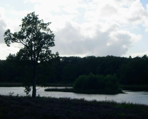 Smithuyserbos, De Zuid, Maartensdijkse Bos en Hilversums Wasmeer