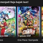 one piece bilibili