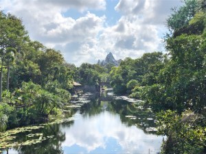 Animal Kingdom
