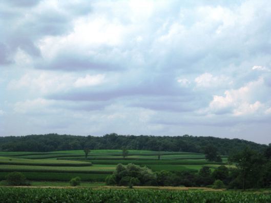 Verdant countryside