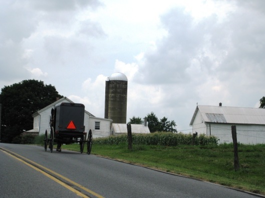 Amish Buggy and Farmstead