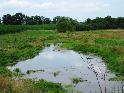 Lazy Field Stream