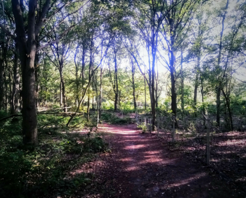 Wandeling over de Zuiderheide