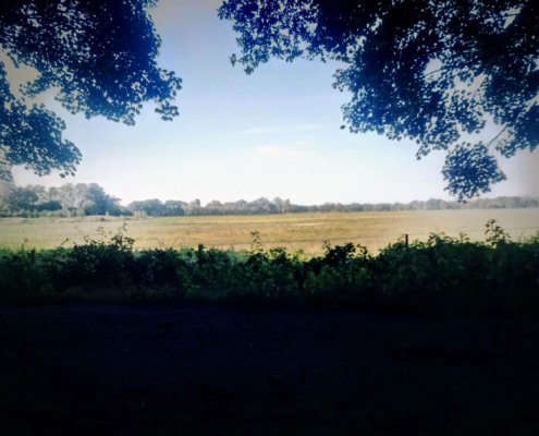 Wandeling over de Zuiderheide
