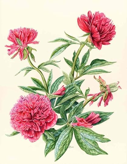 This image has an empty alt attribute; its file name is peony-792x1024.jpg