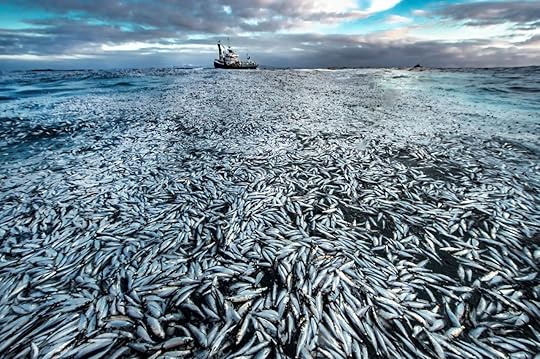 Audun Rikardsen Wildlife Photographer of the Year 2021