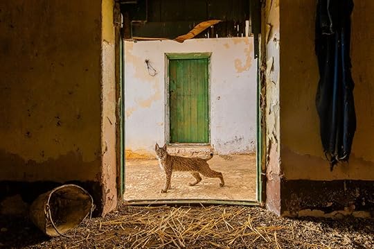 Sergio Marijuan Wildlife Photographer of the Year 2021