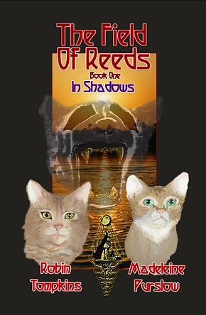 Smallest Maddie Field of Reeds in Shadows 5 x 8 book one