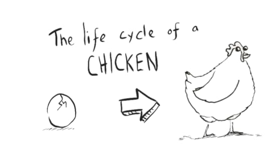 The life cycle of a chicken