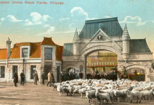 chicago stockyards 1.png