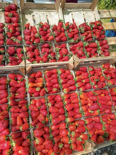 Albanian strawberries