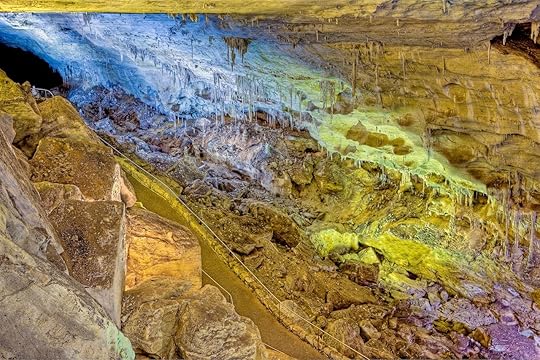Bat,Cave,And,Flight,Path,,Carlsbad,Caverns,,New,Mexico