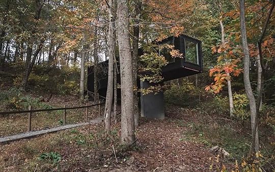 treehouse-village-box-Ohio-most-wishlisted-midwest-airbnbs