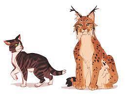 Kind Words; Fierce Hearts. — fridaystar: this is my new warriors oc tigerfoot...
