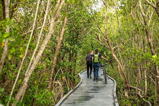 Hike and bikes: 6 great trails on The Beaches of Fort Myers & Sanibel