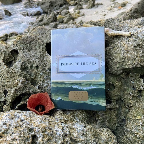 Poems of the sea by J.D. McClatchy