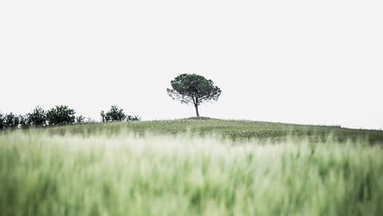 Devote Yourself to Faithfulness