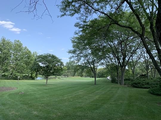 IMG 2625