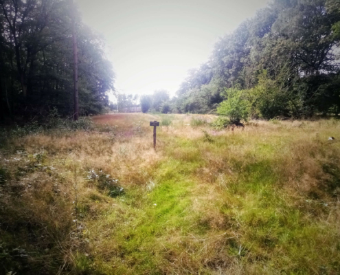 Monnikenberg en Anna's Hoeve, een wandeling