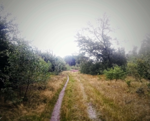 Monnikenberg en Anna's Hoeve, een wandeling