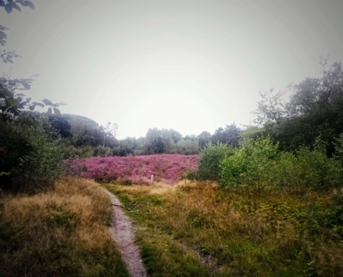 Monnikenberg en Anna's Hoeve, een wandeling