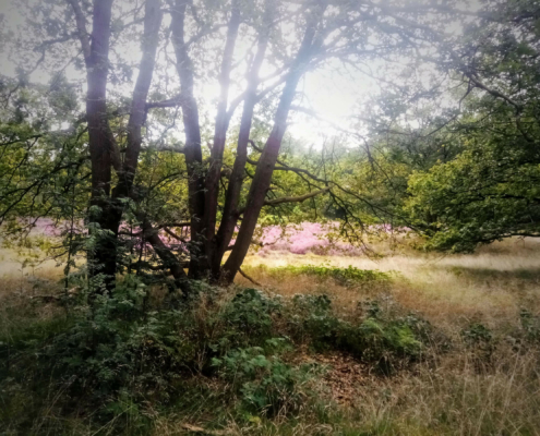 Monnikenberg en Anna's Hoeve, een wandeling