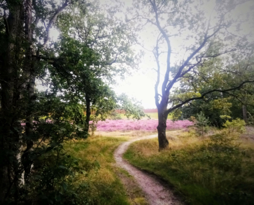 Monnikenberg en Anna's Hoeve, een wandeling