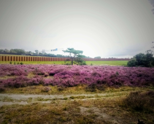 Monnikenberg en Anna's Hoeve, een wandeling
