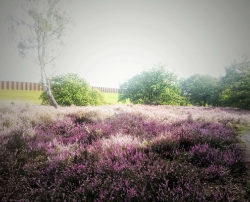 Monnikenberg en Anna's Hoeve, een wandeling