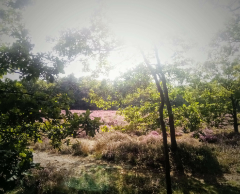Monnikenberg en Anna's Hoeve, een wandeling