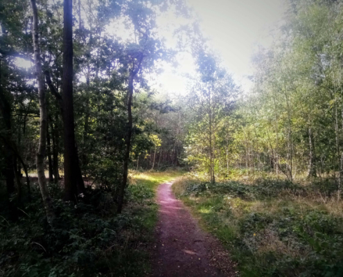 Monnikenberg en Anna's Hoeve, een wandeling