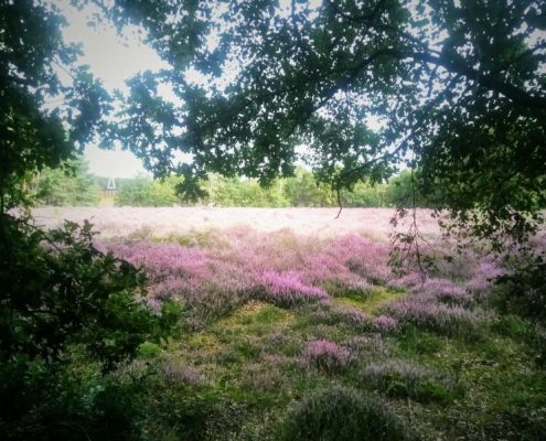 Monnikenberg en Anna's Hoeve, een wandeling