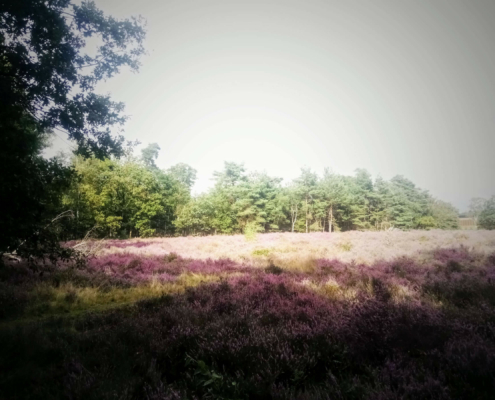 Monnikenberg en Anna's Hoeve, een wandeling