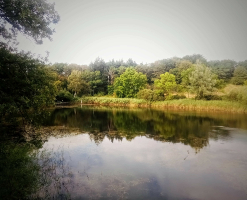 Monnikenberg en Anna's Hoeve, een wandeling
