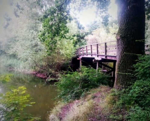 Monnikenberg en Anna's Hoeve, een wandeling