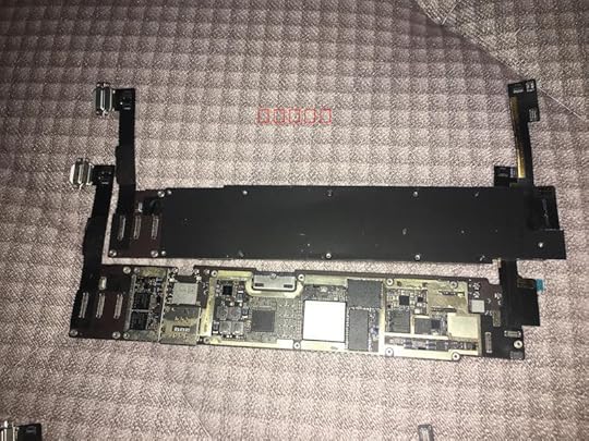 博猫娱乐客户端下载
